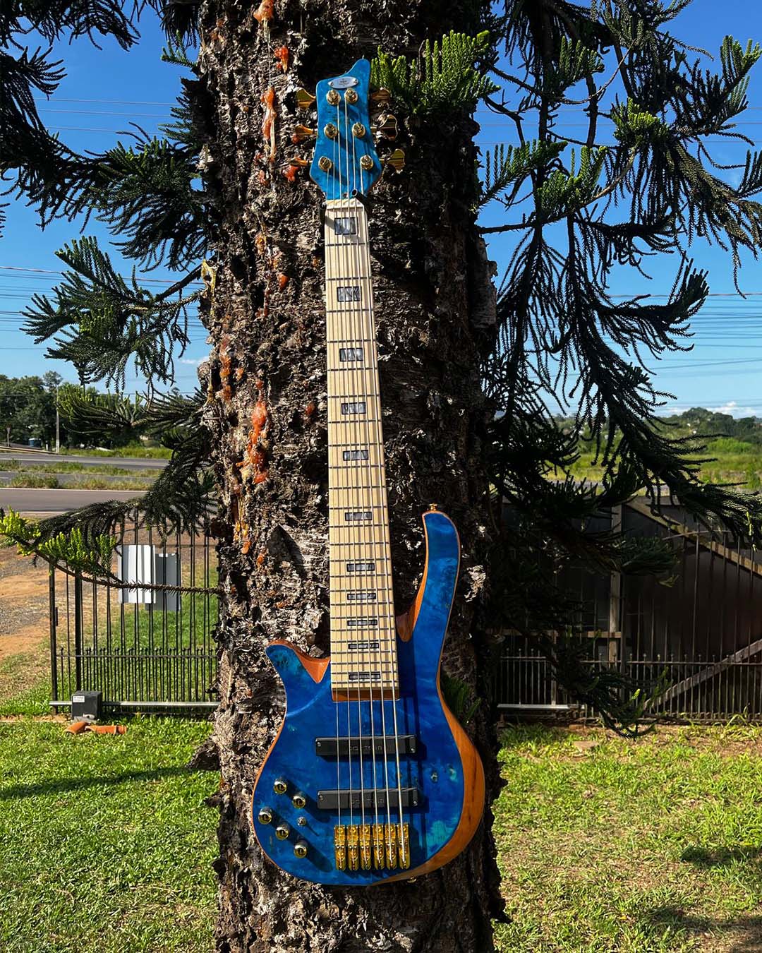 Olha só quem chegou pra agitar o fim de semana- King Custom Blue ! 🎸💙Esse baixo é conta com c (4)