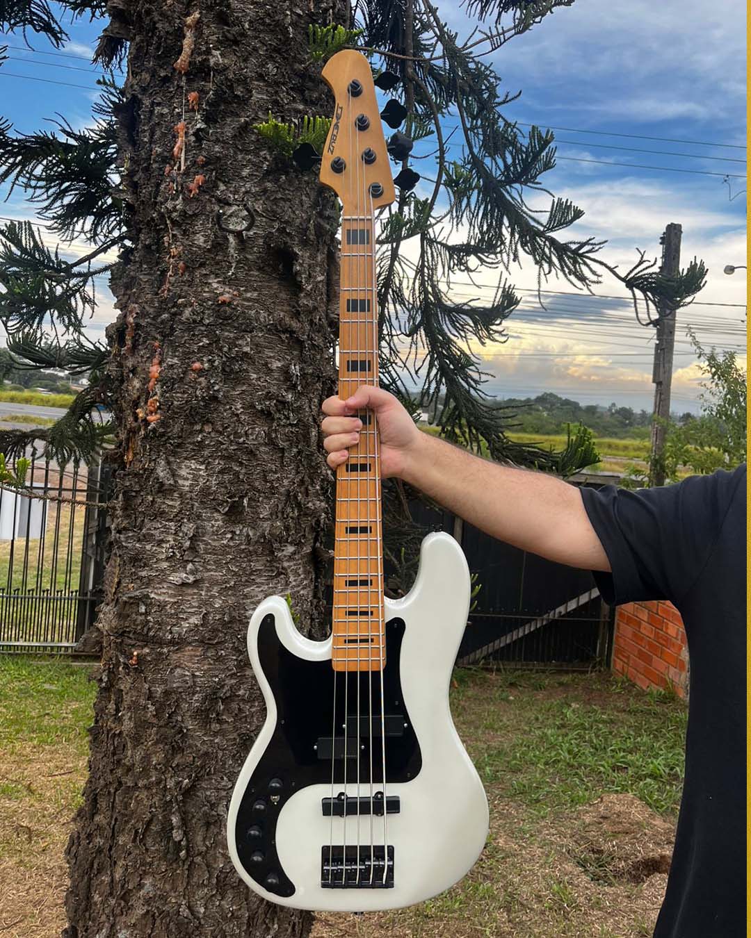 Pra quem é canhoto e sente falta dos bass por aqui, sim, hoje tem um baixão canhoto!Esse aqui é (2)